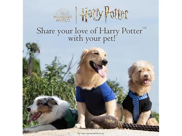 Harry Potter Ravenclaw Dog Collar - Adjustabl