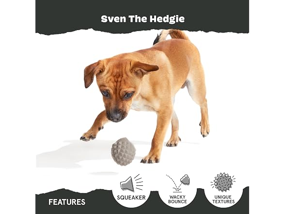 Barkbox Sven the Hedgie Rubber Dog Toy