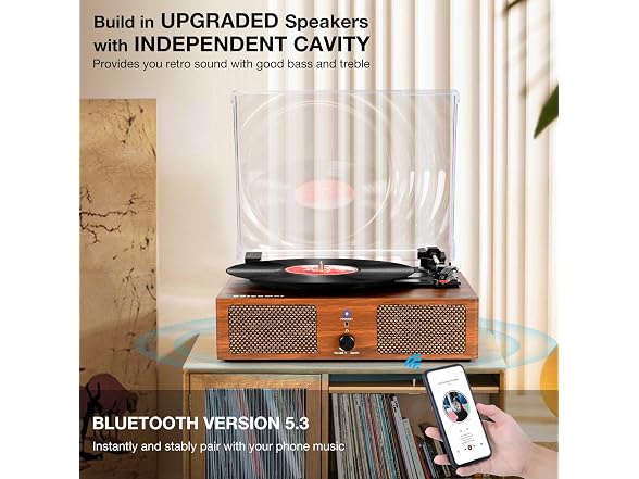 Vinyl Record Player Turntable with