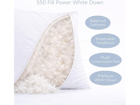 White Down Pillow and Cotton Protector