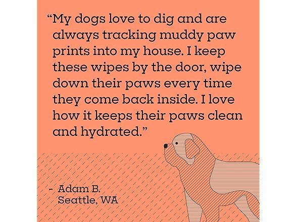 Pet Life Unlimited Dog Paw Wipes, Unscented