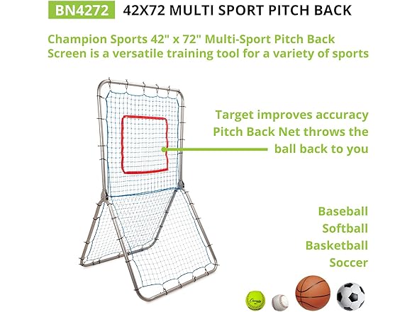 Champion Sports Rebound Pitchback Net