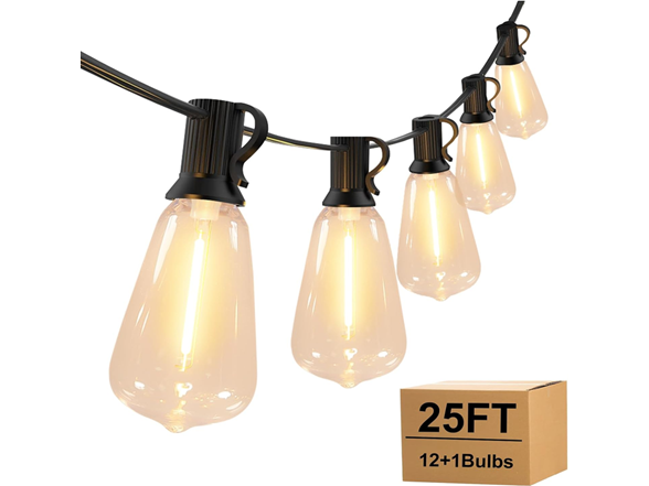 TAICORE ST38 Bulbs Outdoor String Lights
