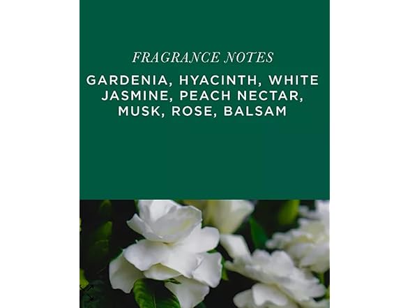 Aromatique, Scented Decorative Potpourri