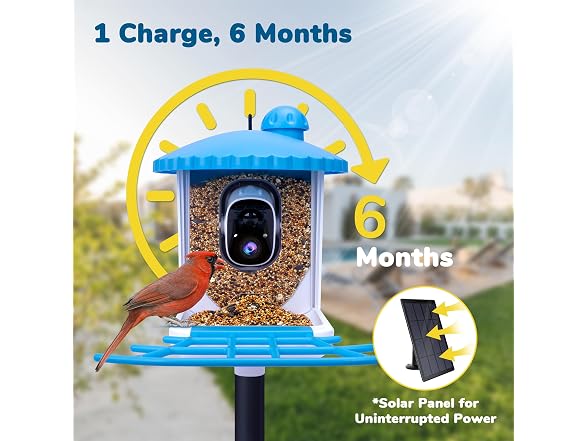 Twesync Smart Bird Feeder with Camera