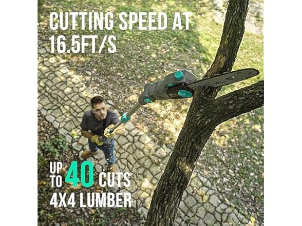 Litheli Cordless Pole Saw,10-Inch 40V Pole Saws for Tree Tri (Open Box)