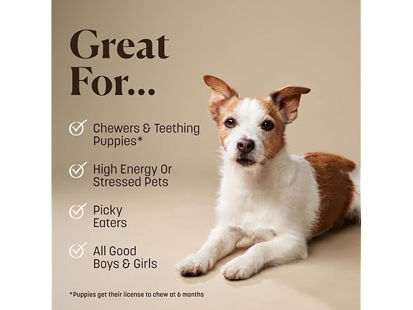 Earth Animal No Hide Dog Chews - Long