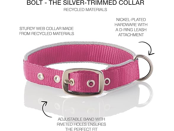 Pet Passion Adjustable Silver Trimmed Dog Collar