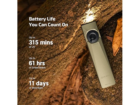 OLIGHT Flat Flashlight