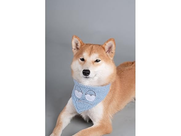 Touchdog ® 'Dizzy-Eyed Pet Bandana