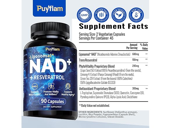 Puyflam 12-in-1 Liposomal NAD+ Supp