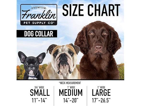 Franklin Pet Supply Co. - Nylon Dog Collar