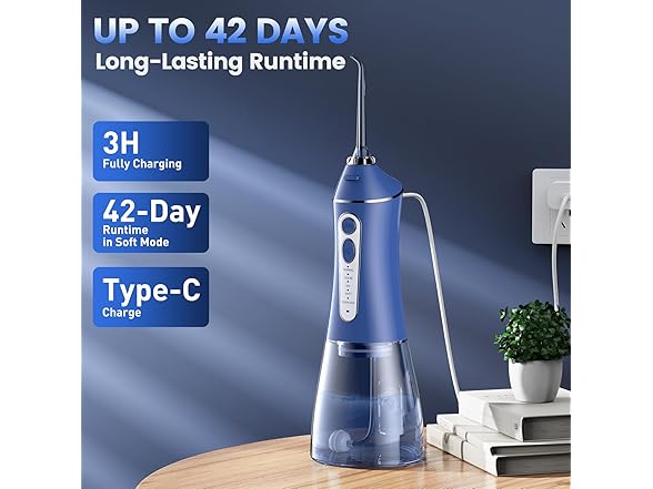 Reure Water Flosser