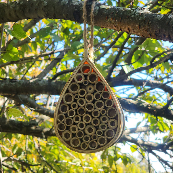 Pollinating Palace - Bee House - Gallery 10