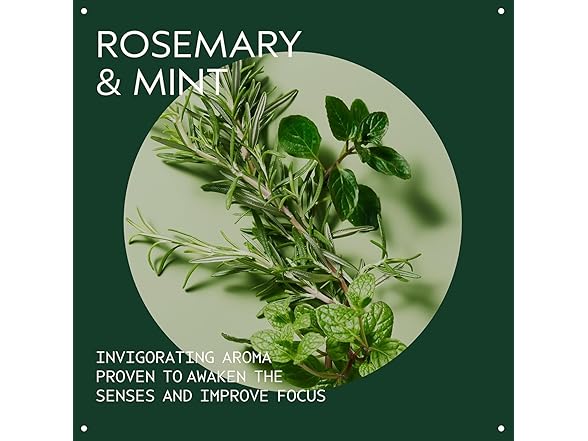 Aveda Rosemary Mint Purifying Shampoo 338 oz