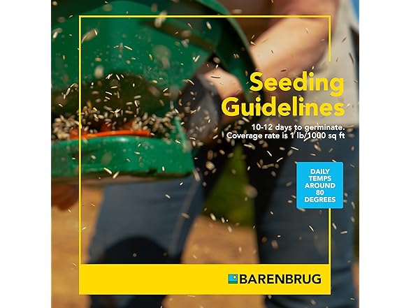 PanAm Bermudagrass Seed, 25 lb Bag