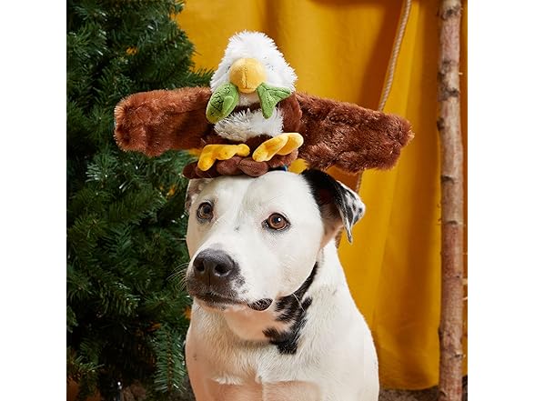 Barkbox Majestic Marty Dog Toy | Plush Eagle Toy