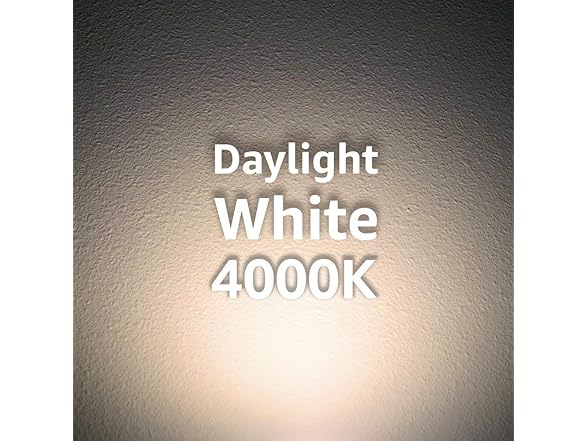 Euri Lighting 2-Pack LED A19 Bulb, 4000K (Bright White)