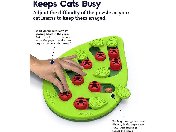 RXJPASD Cat Treat Puzzle and Scratch Board Combo Toy