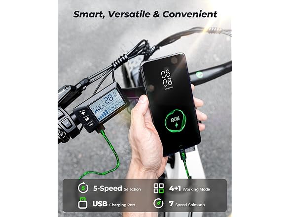 isinwheel Electric Bike 48V Battery 1500W
