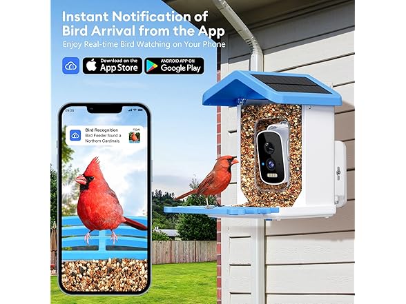 Niuberber Blue Smart Bird Feeder with Camera