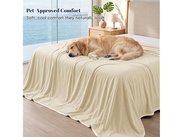 PHF Sand Color Cooling Blanket Queen 90"x90"