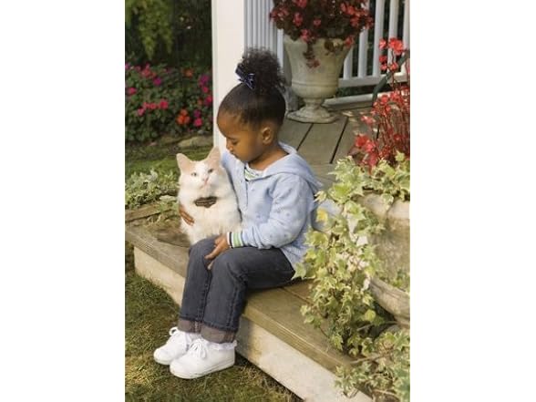 PetSafe Premium Cat Fence Extra Receiver