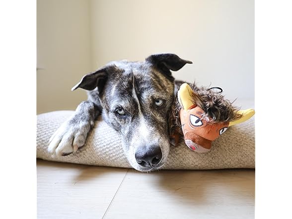 Ruffian Prairie Buffalo Plush Dog Pull Chew