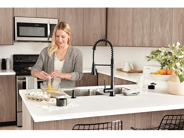 Precept Pull-Down Faucet
