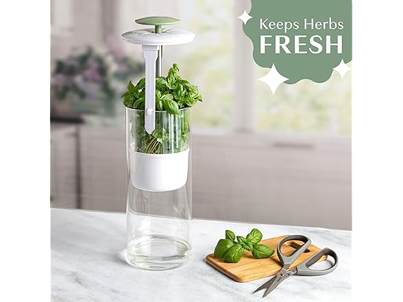 Goodful Herb Keeper Preserver