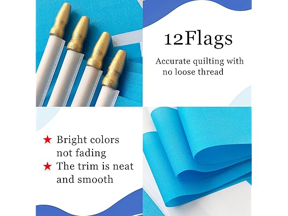 WEITBF Argentina Flags 8x12" 12pc