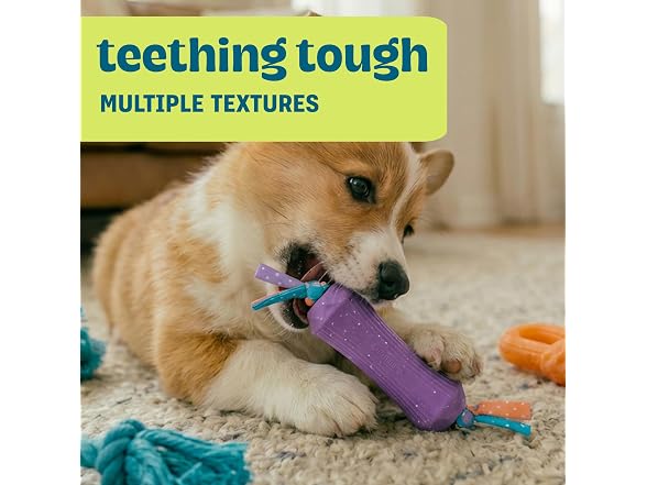 Pupstages Flex-Force Chew Dog Toys 3Pk