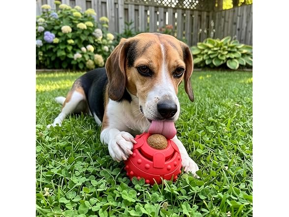 SPOT Seek-A-Treat Double Puzzle Ball Dog Toy