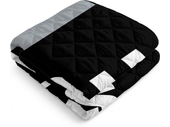LAS VEGAS RAIDERS Outdoor Blanket