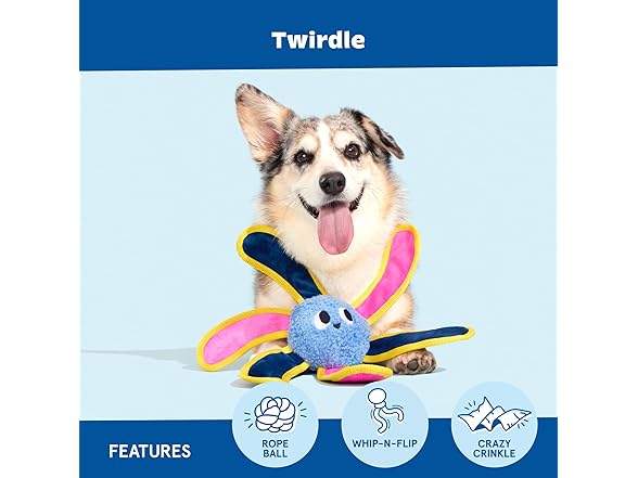Barkbox Twirdle Dog Toy