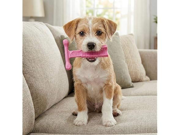 SPOT Bam-Bones Puppy T-Bone Dog Chew Toys, 2PK