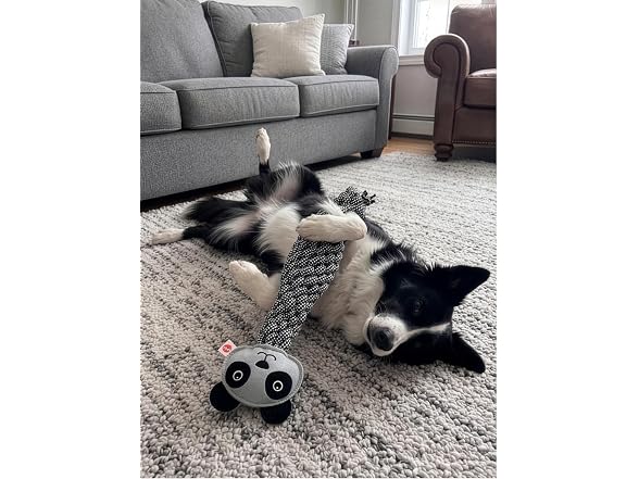 SPOT Dura-Fused Colors Leather Bottle Cruncher Panda Dog Toy
