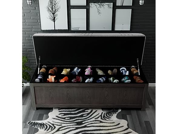 The Sole Secret 50" Wide Shoe Storage Bench Organizer