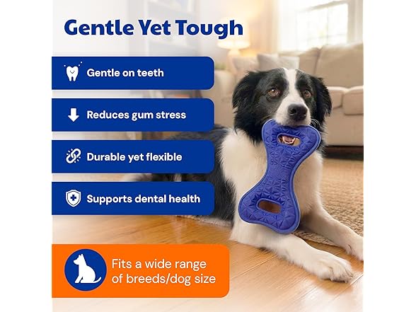 AKC Sport Double Tug Dog Chew Toy