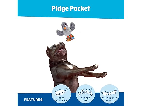 Barkbox Pidge Pocket Dog Toy | Plush