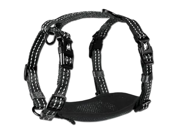 Alcott Essentials Adventure Pet Harness, Small