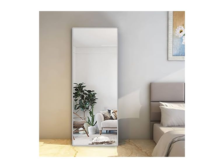 NeuType Full Length Mirror, Aluminum Alloy Thin Frame, 64"x21" Silver