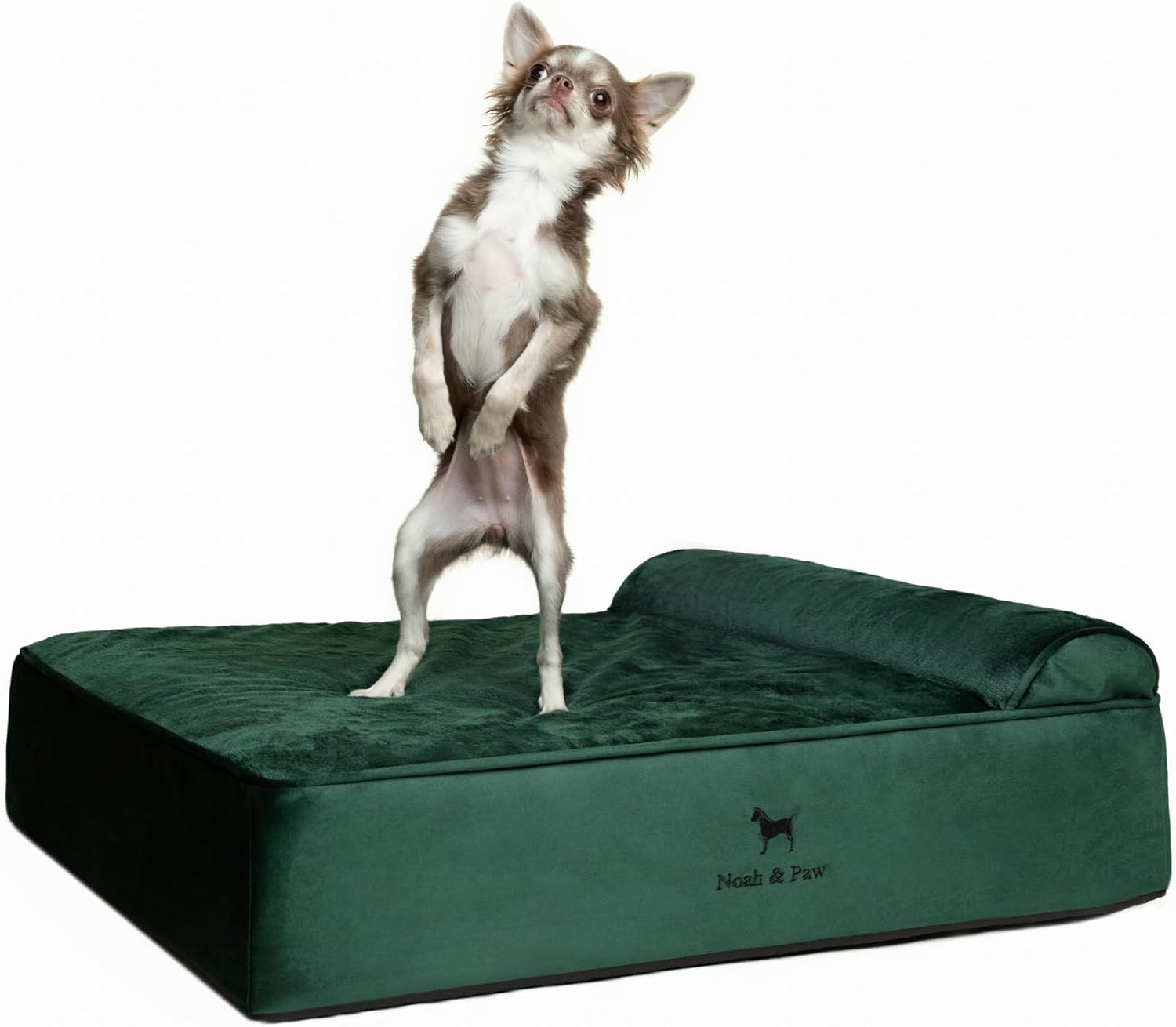 NOAH & PAW Orthopedic Dog Beds- Medium - Gallery 9