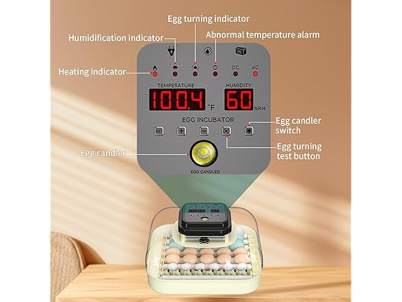 CoInceptus 35 Eggs Incubators