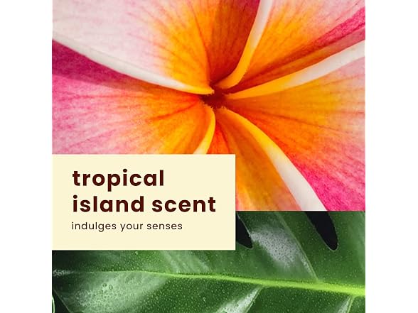 Hawaiian | Tropic Sheer Touch Spf#15 8oz