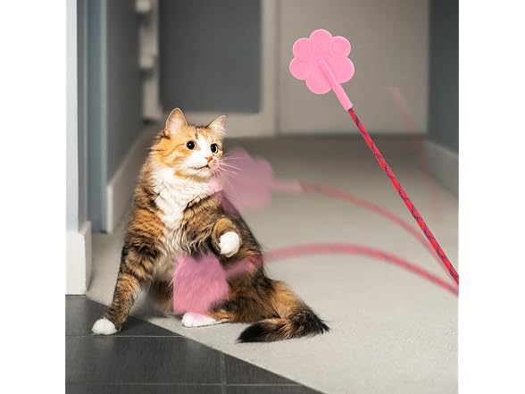 Toddmomy Pet Training Stick, 2Pcs Rubber Cat