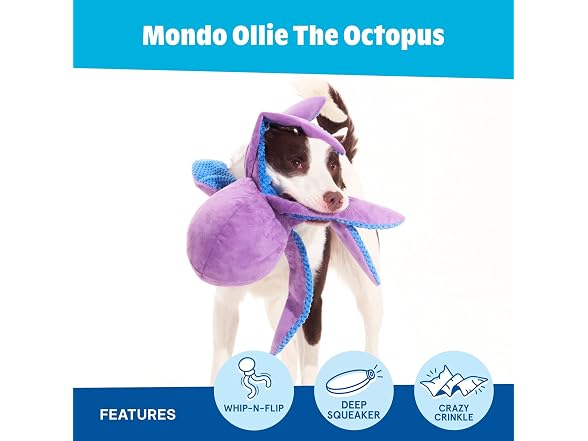 Barkbox Mondo Ollie the Octopus Dog Toy | XL