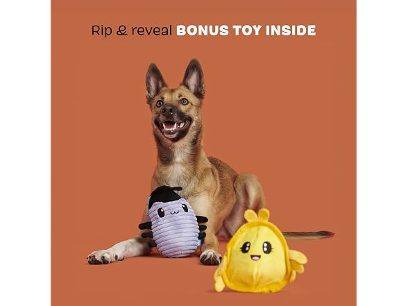 BarkBox Hasina the Hissing Cockroach Dog Toy