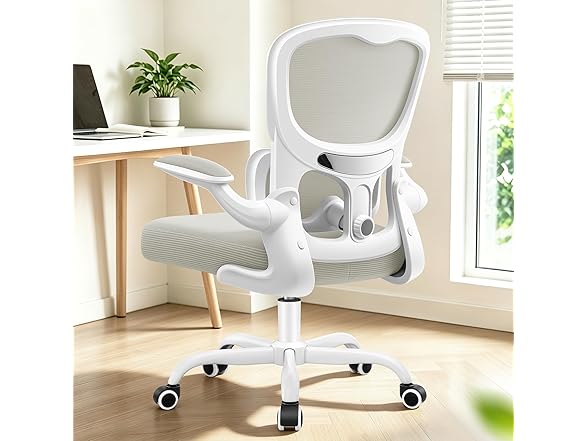 ALLGOD Ergonomic Office Chair, Breathable Mesh Ergonomic Desk Chair with Adjustable Lumbar Support, Flip-up Armrests, Computer Chairs Comfortable for Home, Office, Work, 300lbs, White, Upgrade (Open Box)