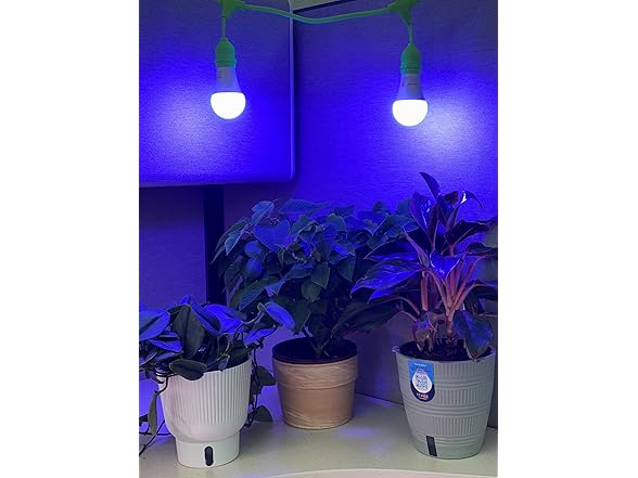 Grow Light 4-Socket White Blue 4KK